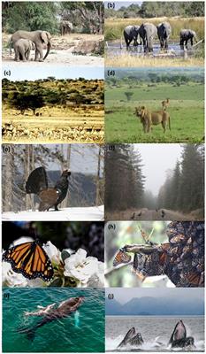 Intergenerational Inequity: Stealing the Joy and Benefits of Nature From Our Children